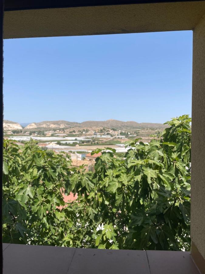 Air Conditioned "Casa Tropicana" Entire Villa Or Individual Apartments مرسية المظهر الخارجي الصورة