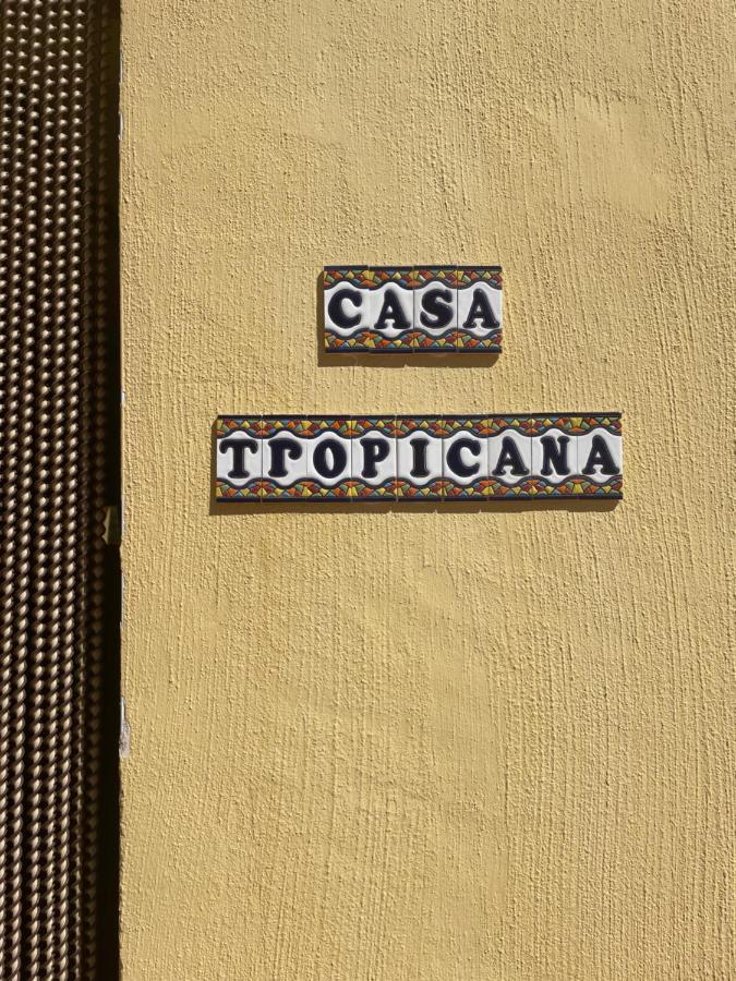 Air Conditioned "Casa Tropicana" Entire Villa Or Individual Apartments مرسية المظهر الخارجي الصورة